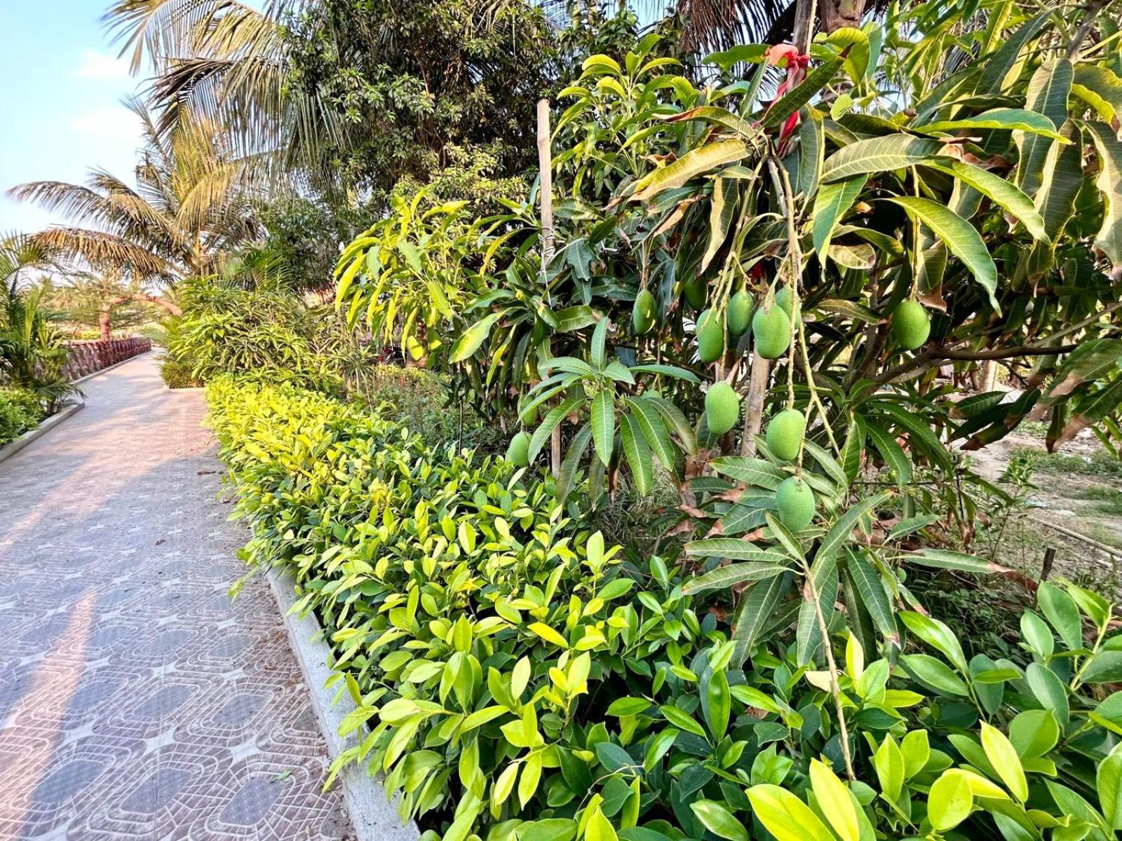 Palli Bangla Resort, Near Ruby Hospital, Anandapur Calcutá Exterior foto